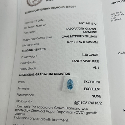 شراء 1.4ct المصنوعة في المختبر الماس الحلق البيضاوي CVD فانتزي زرقاء حية VS1 2EX N معتمدة IGI online manufacture
