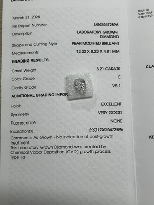 3.21CT E VS1 EX VG CVD المختبر النضج الماس البير الرائعة قطع معتمدة IGI
